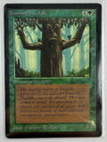"Magic The Gathering: Beta Ironroot Treefolk MTG Beta "0