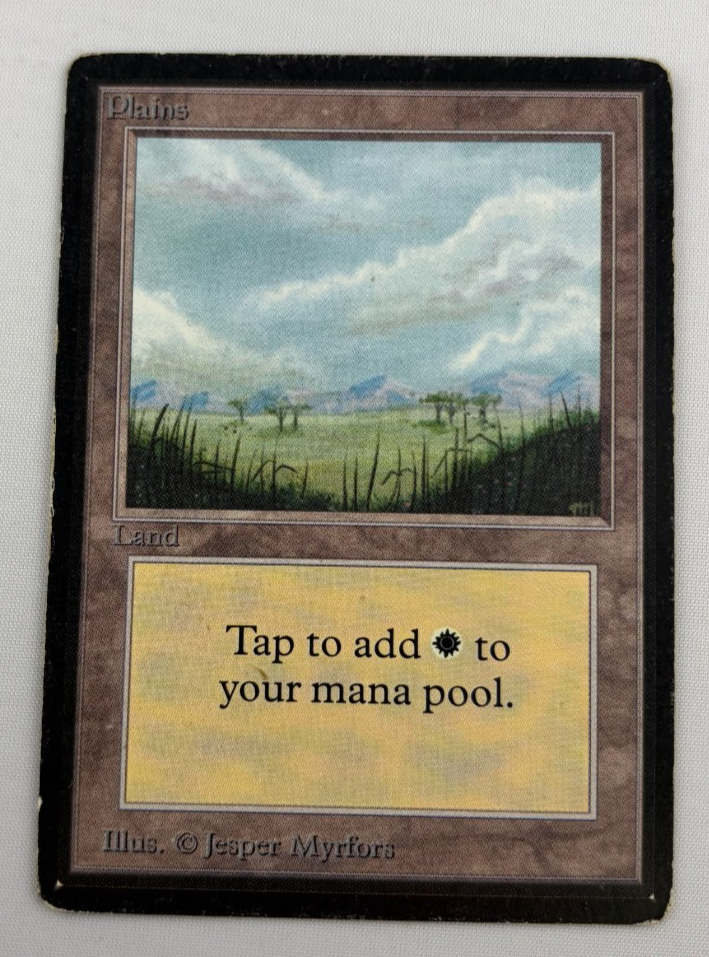 Plains (B) Beta NM MTG Magic the Gathering HP 0